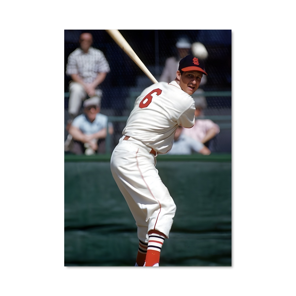 Poster Action à la Maison Blanche – affiche Baseball
